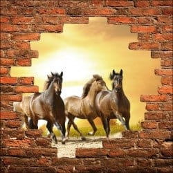 Sticker mural trompe l'oeil chevaux