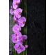 Stickers muraux déco : orchidée bambou 
