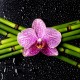 Stickers géant déco : Orchidée Bambous