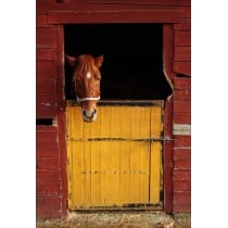 Stickers muraux déco : cheval dans son box