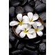Stickers muraux déco : galets noirs fleurs