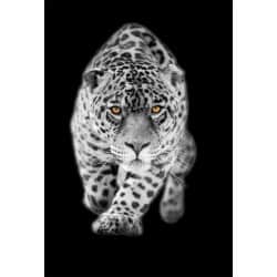 Stickers muraux déco : leopard blanc