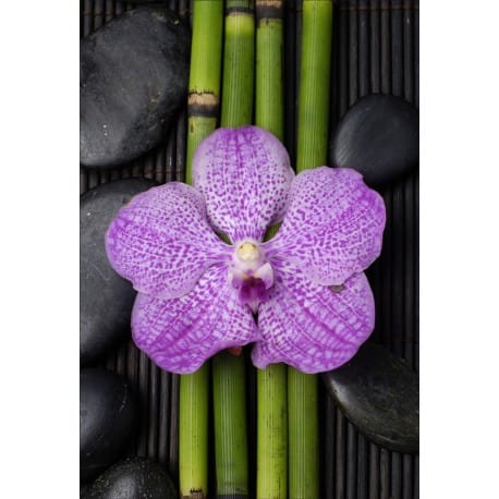 Stickers muraux déco : bambou orchidée