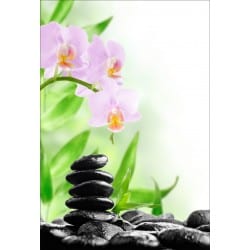 Stickers muraux déco : galet orchidée
