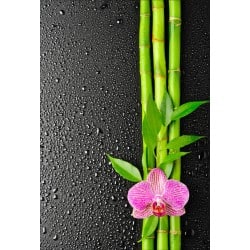 Stickers muraux déco : bambou orchidée