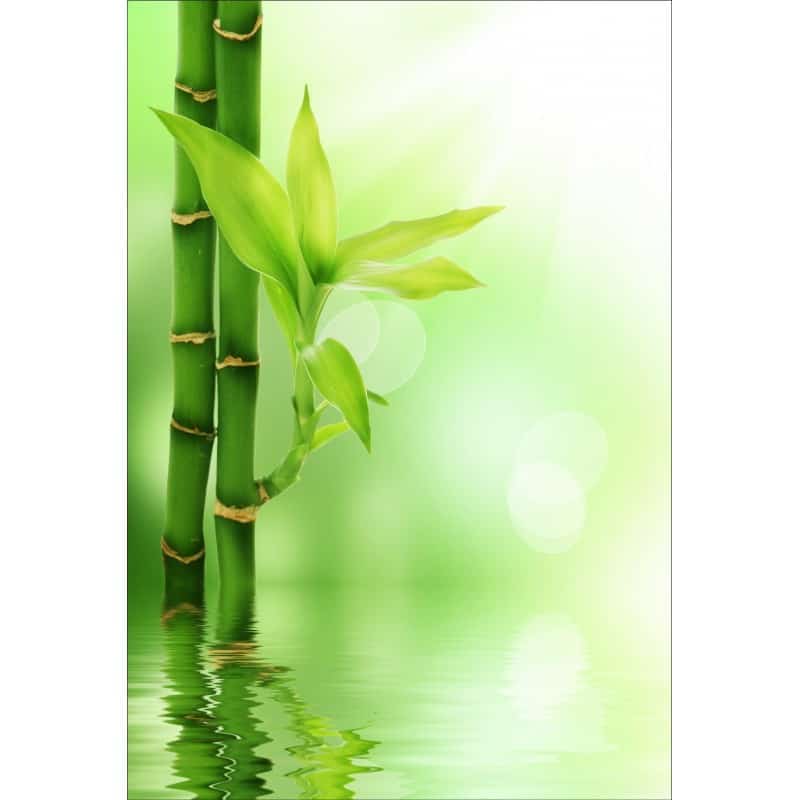 Sticker bambou - Stickers muraux nature, zen, plante