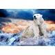Stickers muraux déco : ours polaire