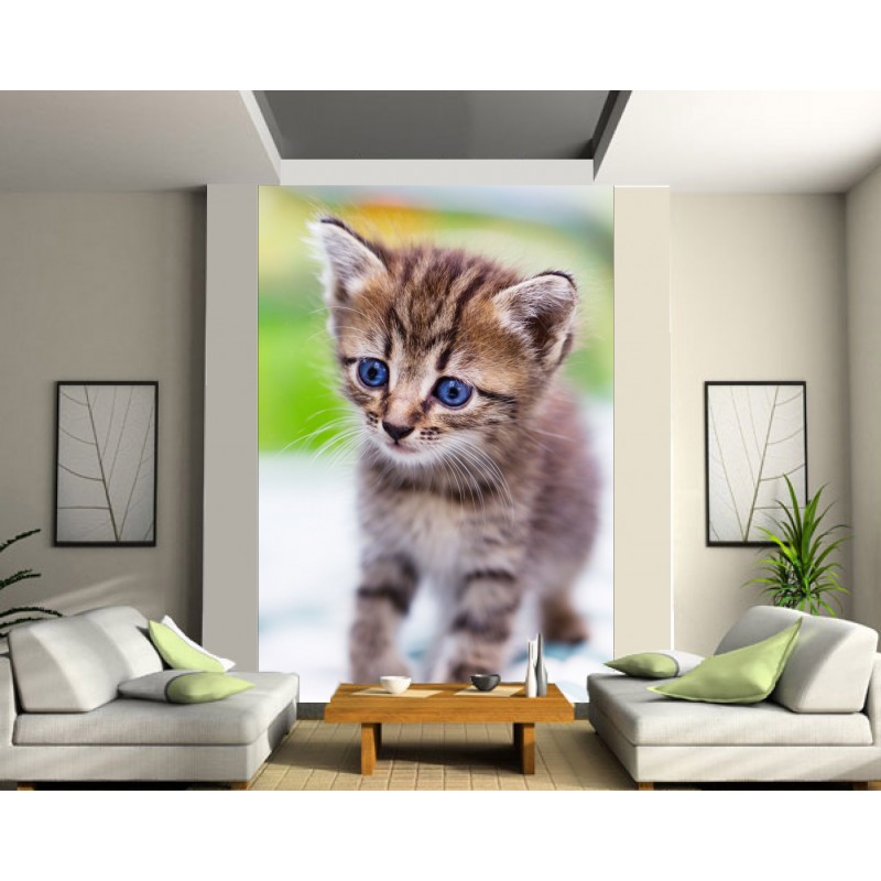 Marrant, 10x8 cm à 35x29 cm Sticker Décoration Animal Chat Rigolo