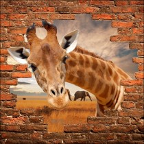 Sticker mural trompe l'oeil Girafe