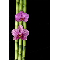 Stickers géant déco : bambou orchidée