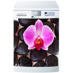 Stickers lave vaisselle Orchidée