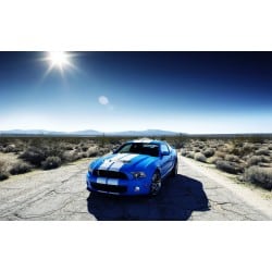 Stickers ou Affiche poster voiture Ford shelby gt500 