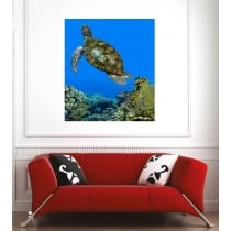 Affiche poster tortue de mer