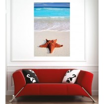 Affiche poster plage étoile de mer 