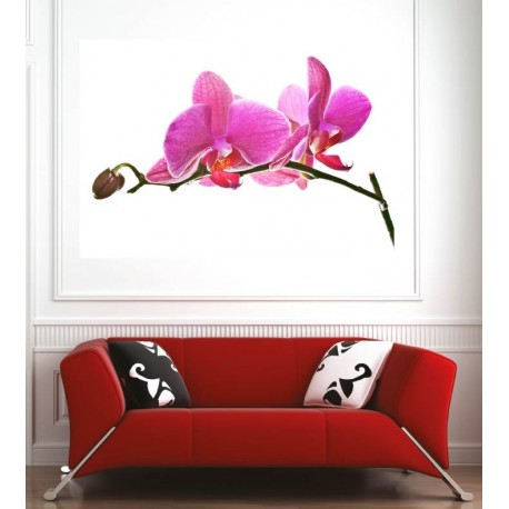 Affiche poster orchidée 