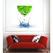 Affiche poster feuille et eau 