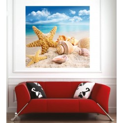 Affiche poster étoile de mer coquillages 