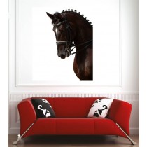 Affiche poster cheval