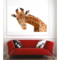 Affiche poster girafe 