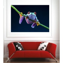 Affiche poster grenouille