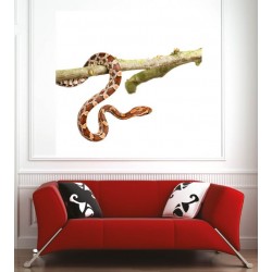 Affiche poster serpent 