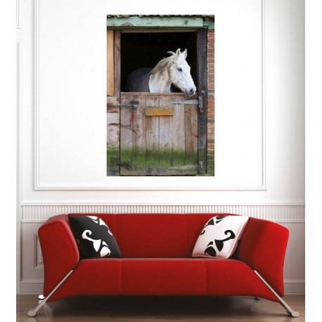 Affiche poster  cheval blanc 6505915 Art déco Stickers