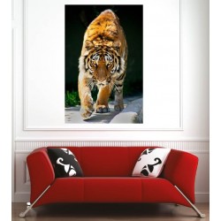 Affiche poster tigre 