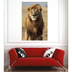 Affiche poster lion 