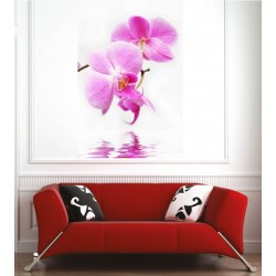 Affiche poster orchidée