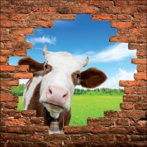 Sticker mural trompe l'oeil vache