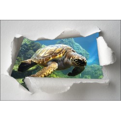Sticker Trompe l'oeil tortue vue sous marine
