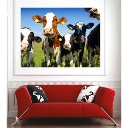 Affiche poster vache