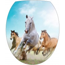Stickers WC, stickers abattant de WC chevaux