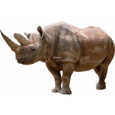 Sticker Rhinoceros